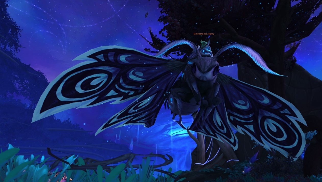 9.1奶德橙装选灌注还是万灵,魔兽世界9.0奶德天赋装备