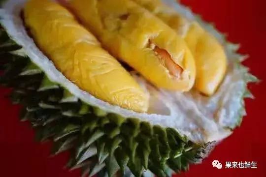 正宗泰国大榴莲,最正宗的泰国榴莲