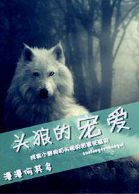 漫漫何其多的纯爱小说作品,漫漫何其多纯爱文