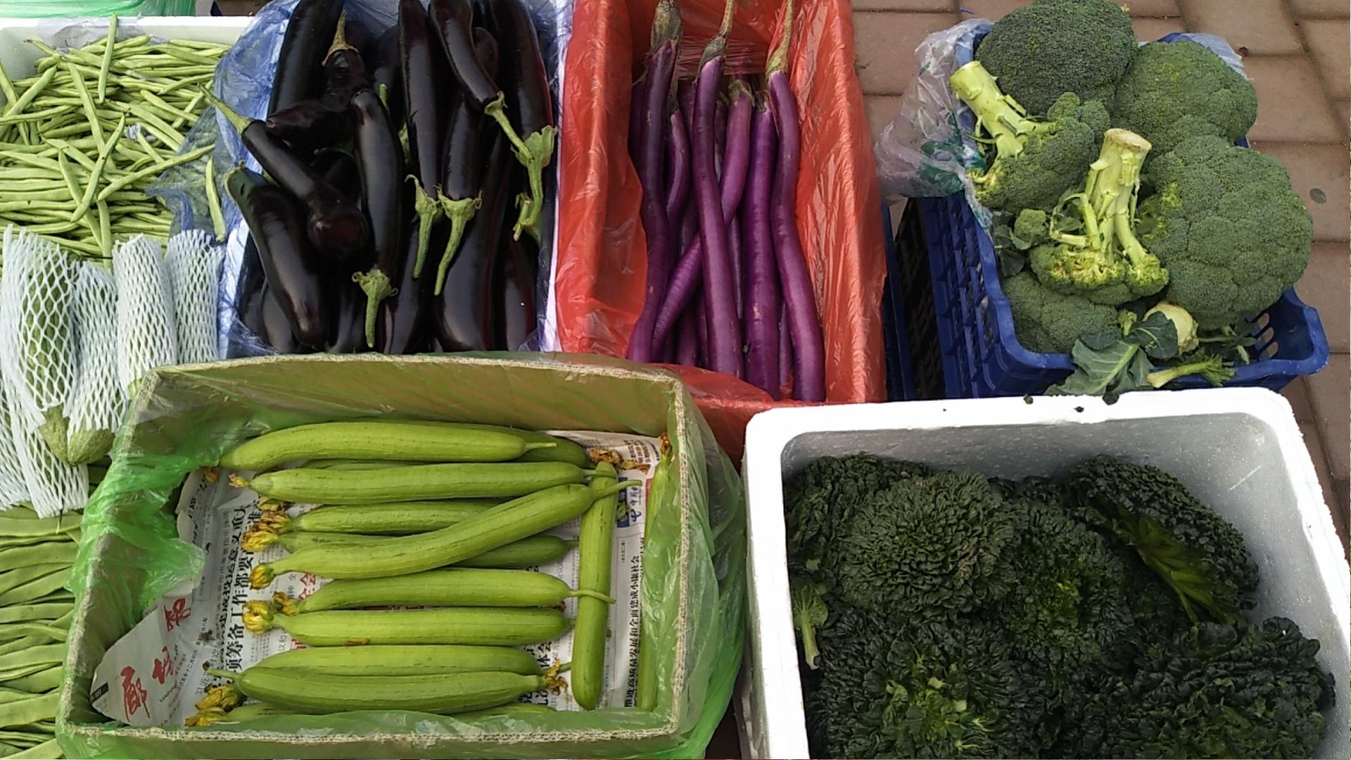 返京人员疫情防疫,抗击疫情医护人员陆续返乡