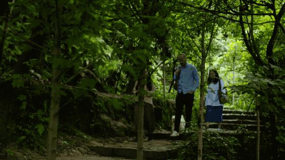 疫情结束房子会降价吗,疫情结束后又发生了什么事