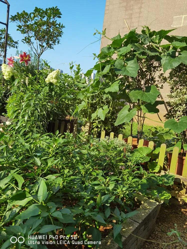 第七届园丁奖,第六届园丁奖奖励