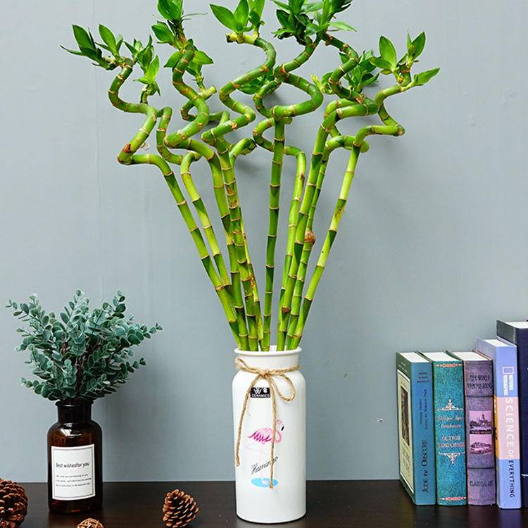 空调房如何给皮肤保湿补水呢,冬季空调屋怎么补水