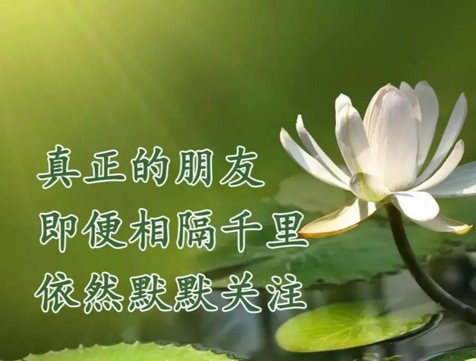 朋友认识你真好经典语录,朋友认识你真好诗歌朗诵