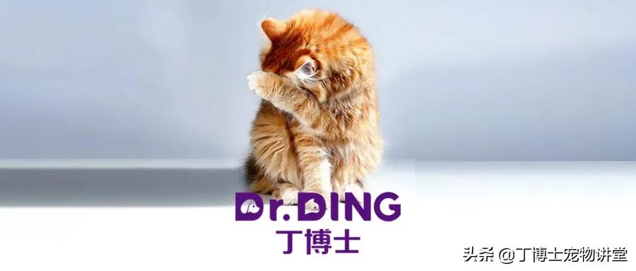 猫呼噜声mp3,猫的喘气很大