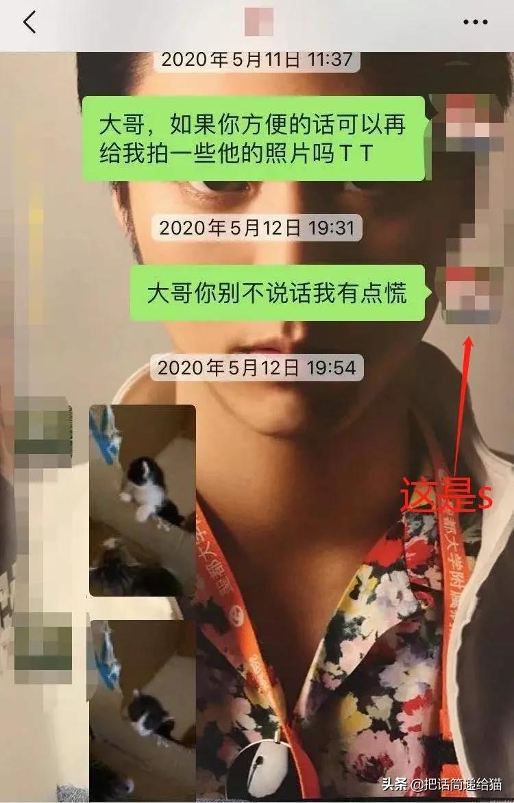 虐猫后良心发现加价“*养送**”？在日本领养流浪猫没你想的那么美好