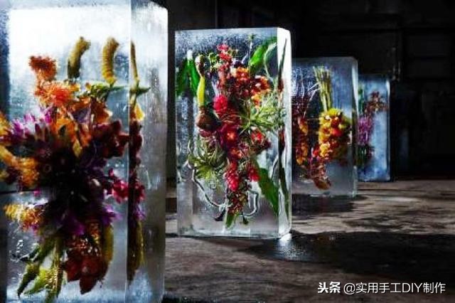 鲜花摄影作品欣赏,高清鲜花美图