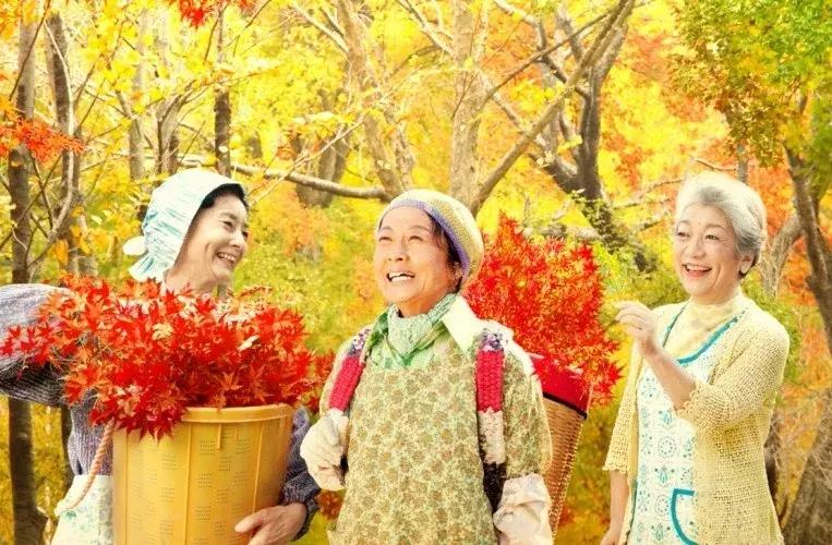 让上海人崩溃的“你是什么垃圾”，早在16年前就被这些村民解决了