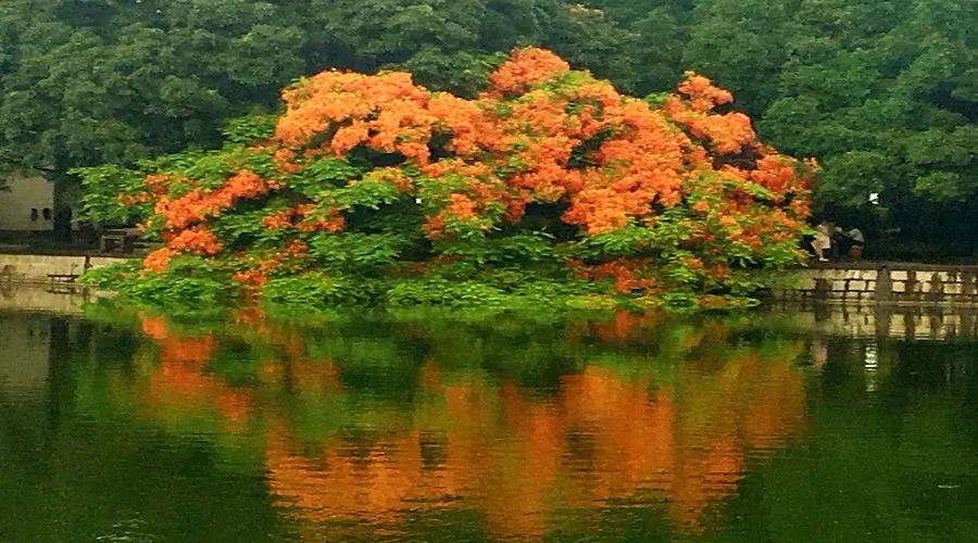 这10个冷门专业正开始变热门,这十大冷门专业能月薪过万