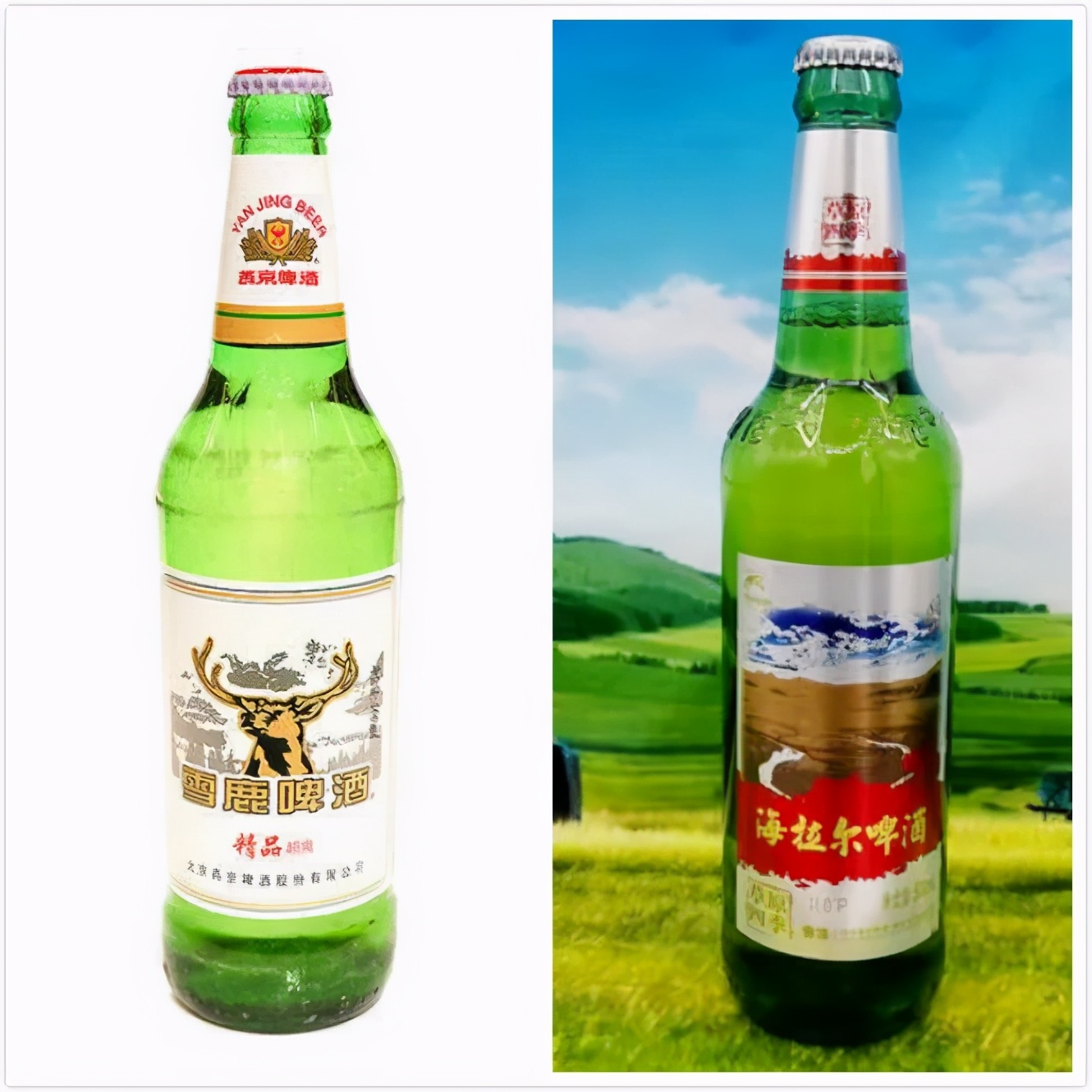 京东公认最好喝的五款啤酒,中国哪种啤酒最好喝又便宜又安全