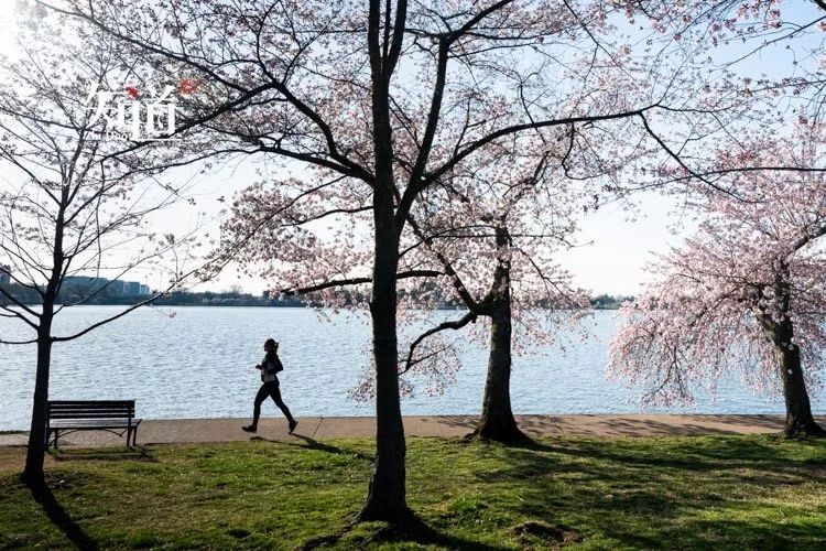 光脚的不怕穿鞋的指的是什么意思,光脚的不怕穿鞋的和哪句俗语相似