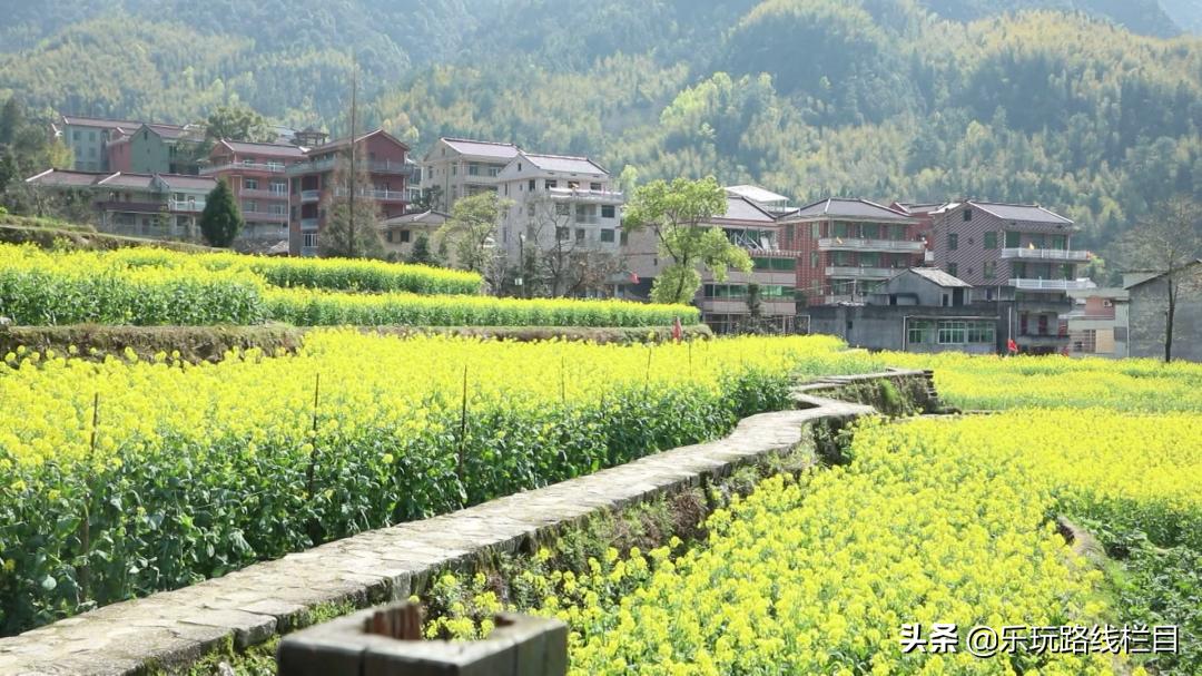 清明周末去哪玩？青田这个神仙山村必须打卡