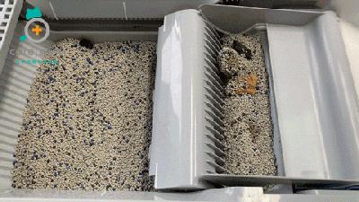 有陪智能猫砂盆真实测评,半封闭全自动猫砂盆测评