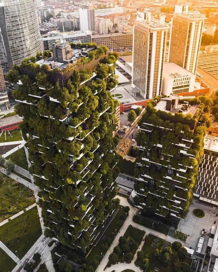 城市中难得的田园风景,城市难得一见的视频