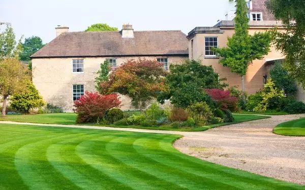 楼顶草坪花园设计效果图,草坪该如何养护管理