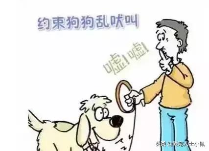 狗狗缺钙的表现怎么治疗,怎么看狗狗缺钙不缺钙