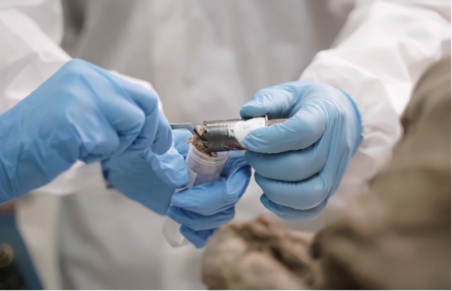 可怕的远古生物入侵地球,北极史前生物病毒