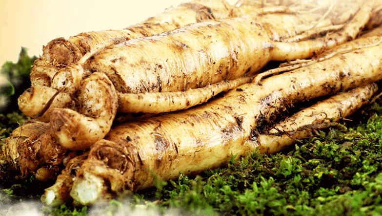 新鲜人参的功效与作用及禁忌,新鲜人参的正确吃法与功效