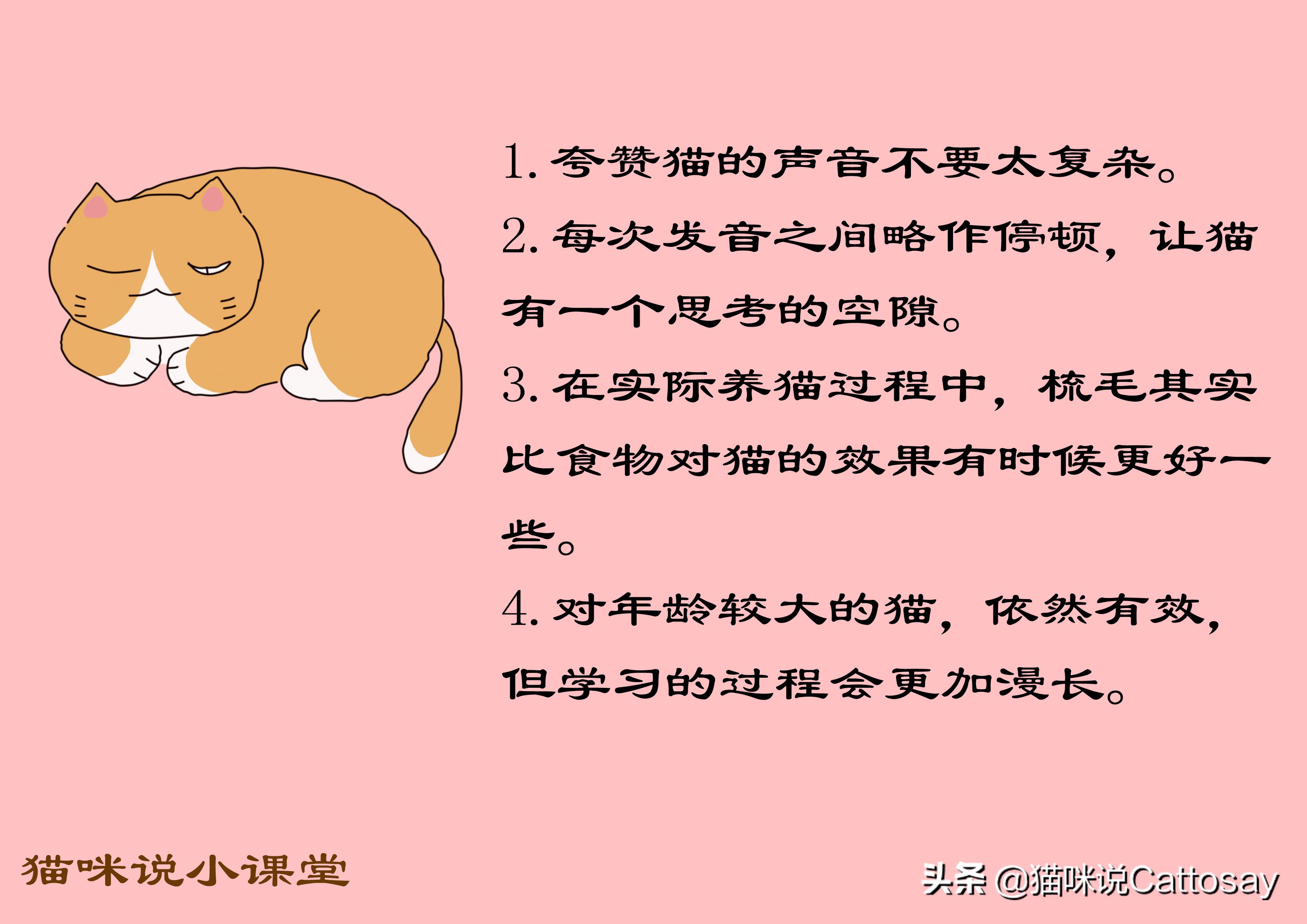 怎么训练猫咪才会让猫咪说话,夸猫怎么夸