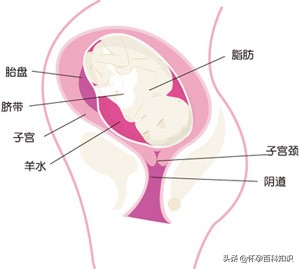 孕妇第五个月做什么产检,怀孕多久可以去月子中心待产