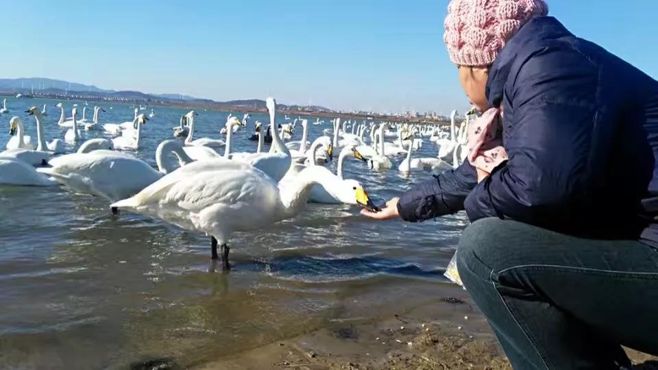山东荣成定居好不好,外地人荣成落户条件
