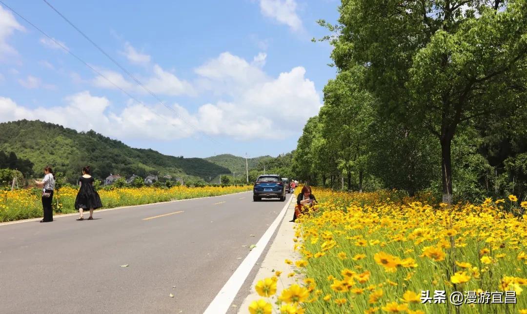 宜昌最美爱情公路,湖北宜昌最美318国道
