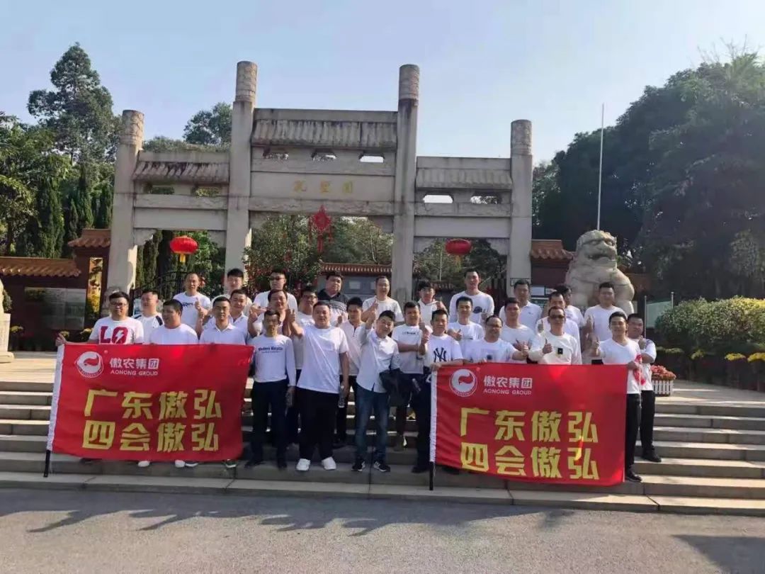 饲料业的前景如何,饲料产业的未来