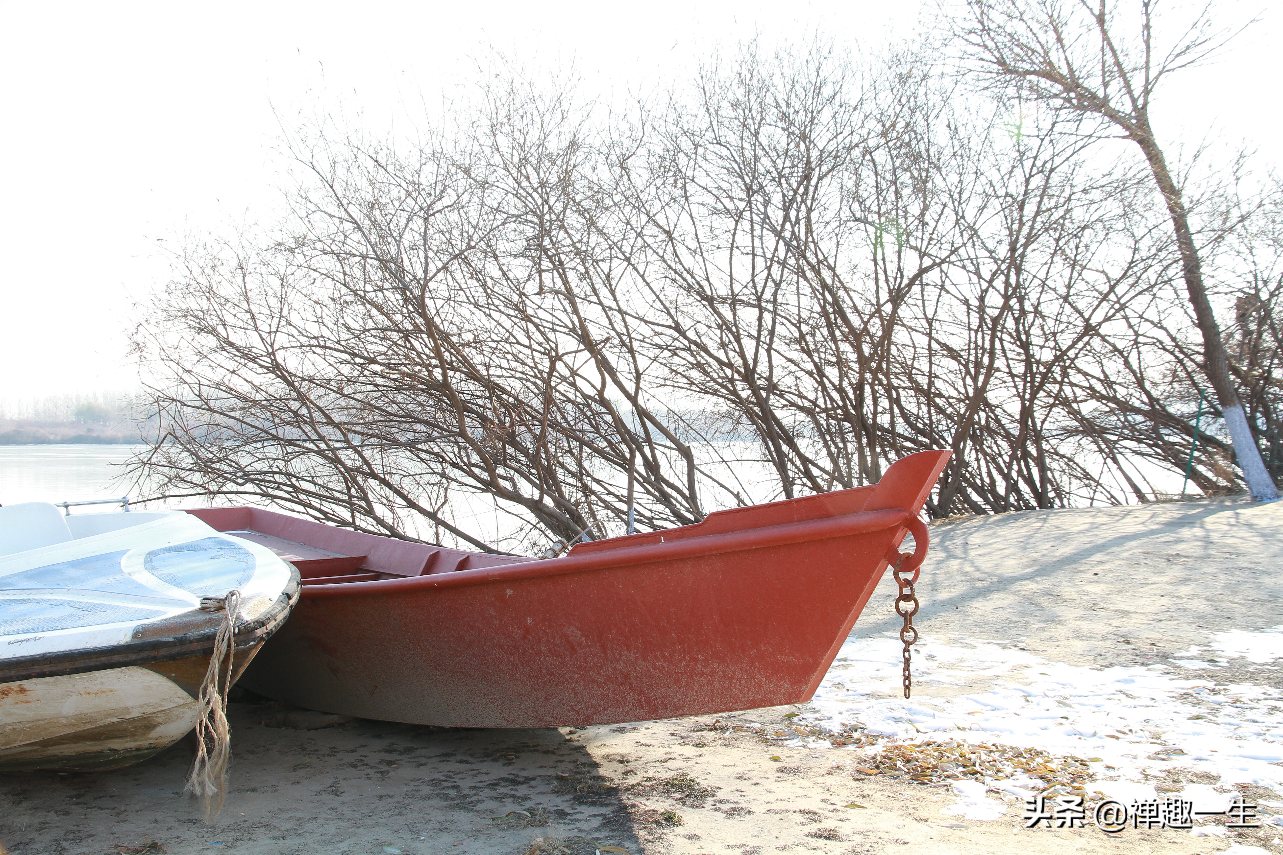 不是太阳岛！但大美湿地却都有一个像太阳般美丽的名字