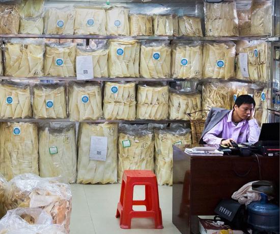 鲸落生万物为什么没有鲨鱼,鲸落为什么突然变成鲨鱼坠落了