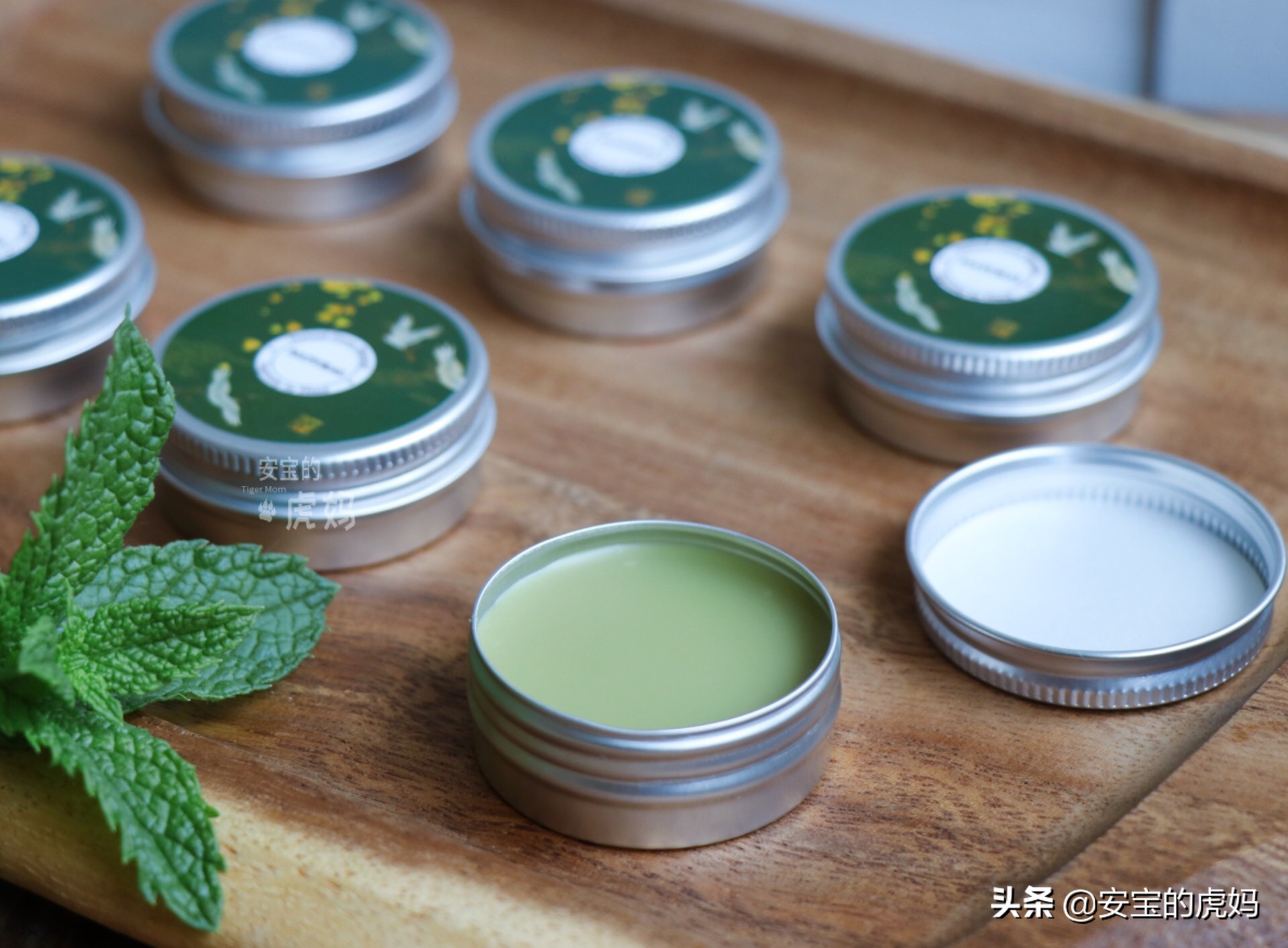 用薄荷做薄荷驱蚊膏,薄荷蚊虫膏制作