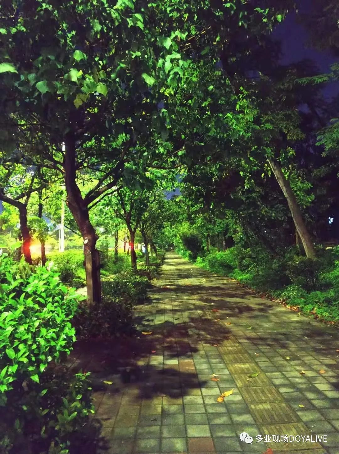 周杰伦mv戳脸杀,周杰伦夕阳红完整版