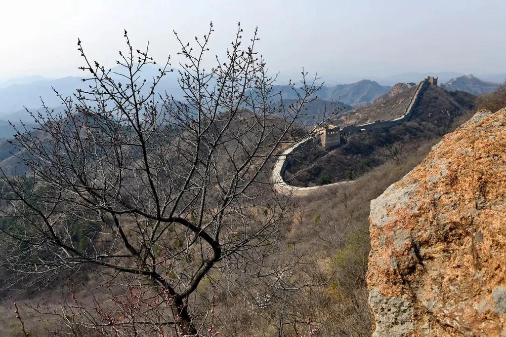 云游江山赏美景,云游花花世界欣赏杜鹃花