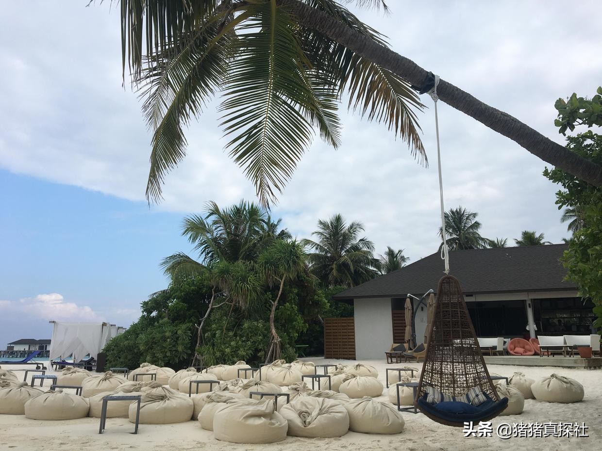 马尔代夫努努岛旅游攻略,马尔代夫鲁滨逊努努岛浮潜