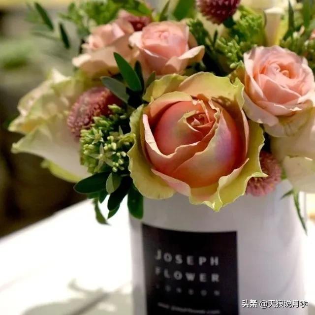 520你最想收到什么玫瑰,520这样的玫瑰你们喜欢吗