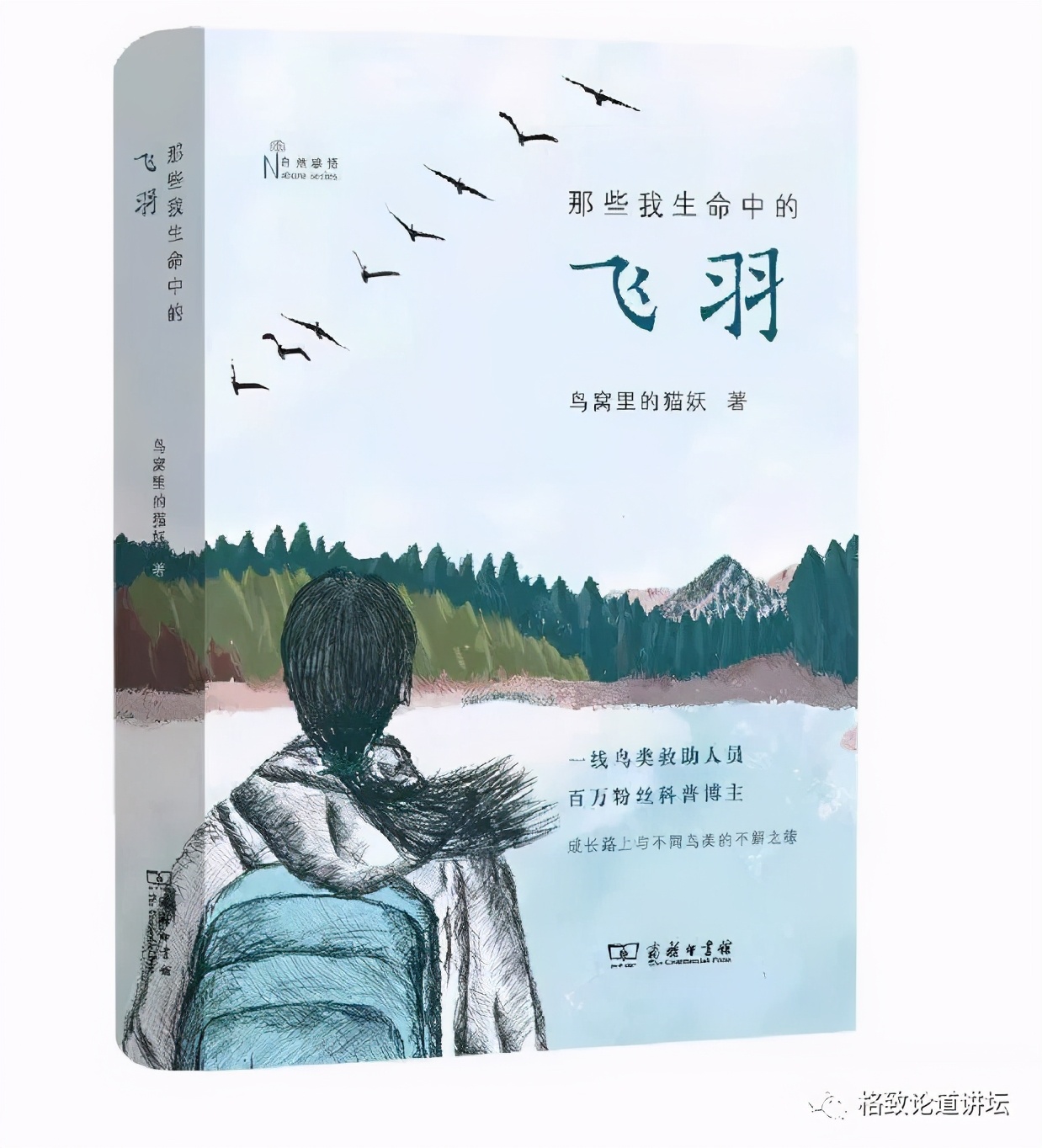 捡到只受伤的鸟怎么办,野外捡到受伤的小鸟