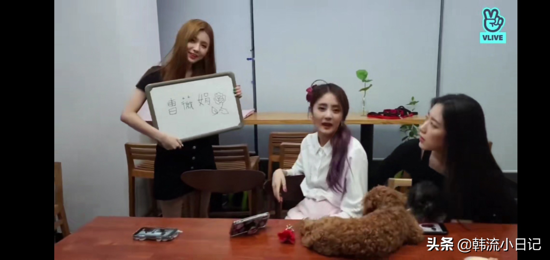 让队友一脸吃惊的女团成员中文名：怎么和我知道的完全不一样啊？