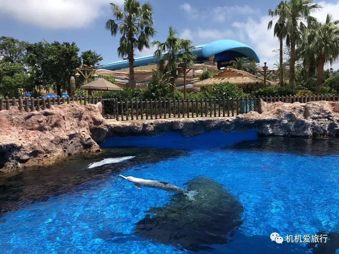 珠海和广州长隆旅游攻略,珠海长隆乐园游玩攻略