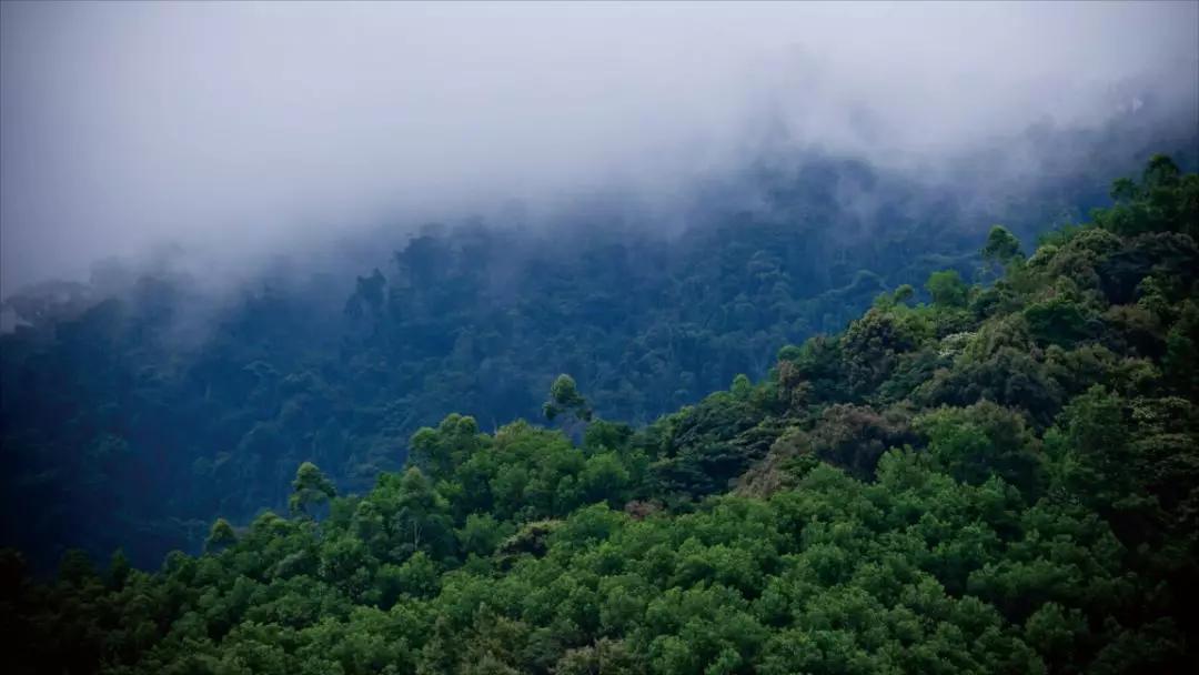 何必羡慕北上广,何必羡慕景区的山与水