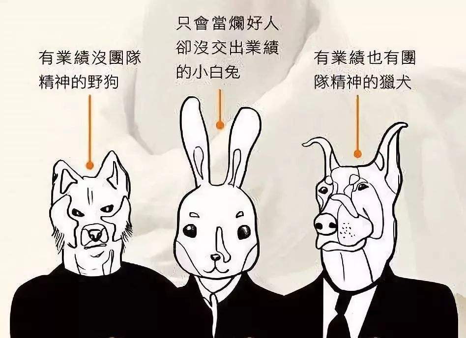 公司越小，越容易得“大公司病”！5大症状，不改只能作死！深思