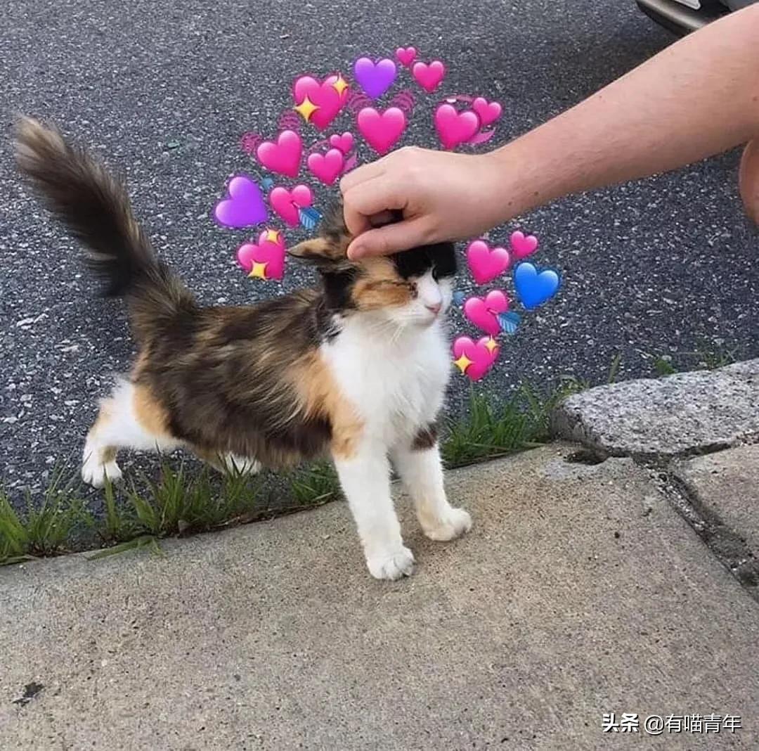 24岁男子喜当爹去派出所,90后男子相亲被误当爹