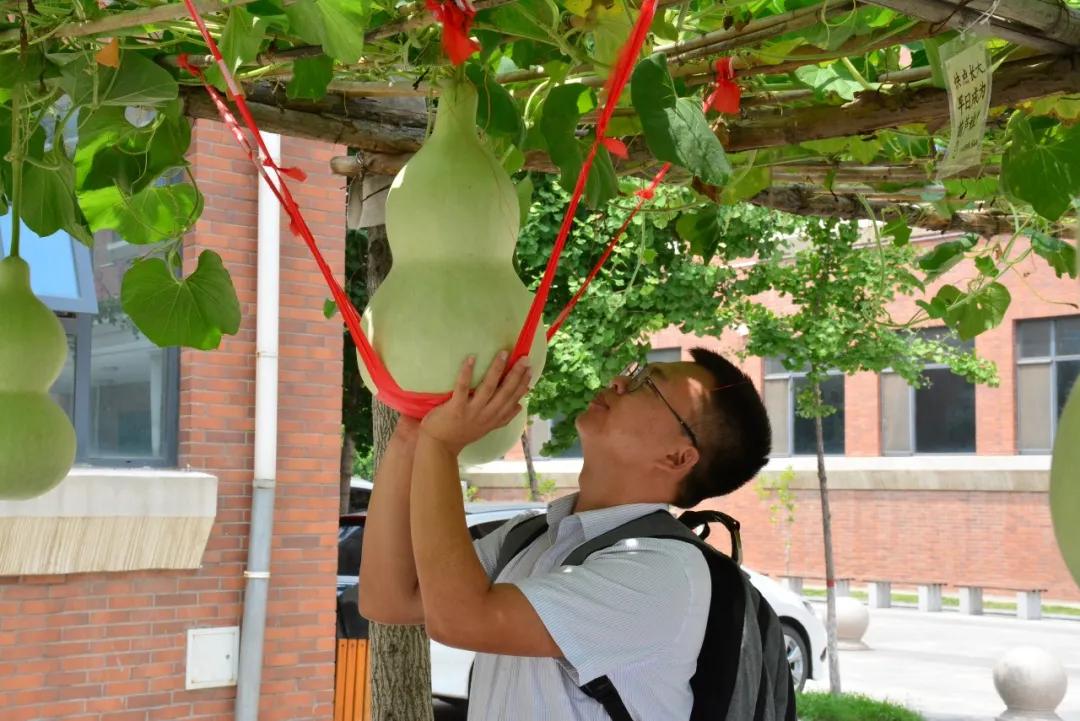 鏍″洯閲岀殑钁¤悇,瀛︽牎閲岀殑钁¤悇鐔熶簡