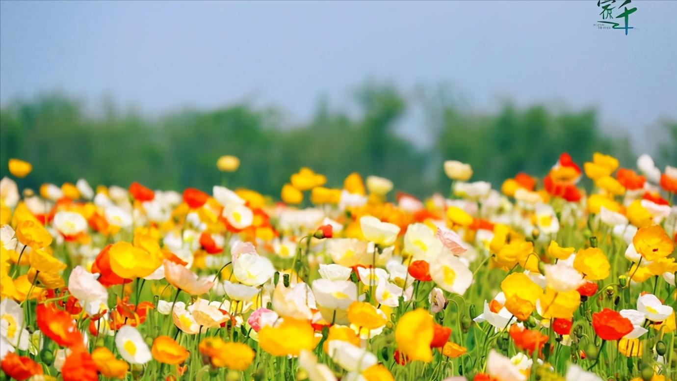 浅谈全国34个省级区域之华东篇：江苏省—宿迁市