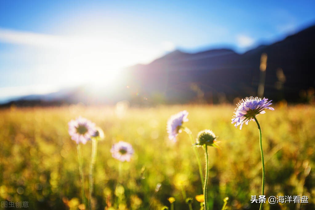 高送转预期概念股炒作时间,高送转板块怎么操作
