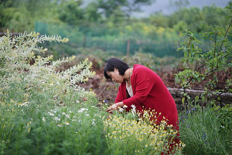 乡情散文经典范文,乡情散文老家