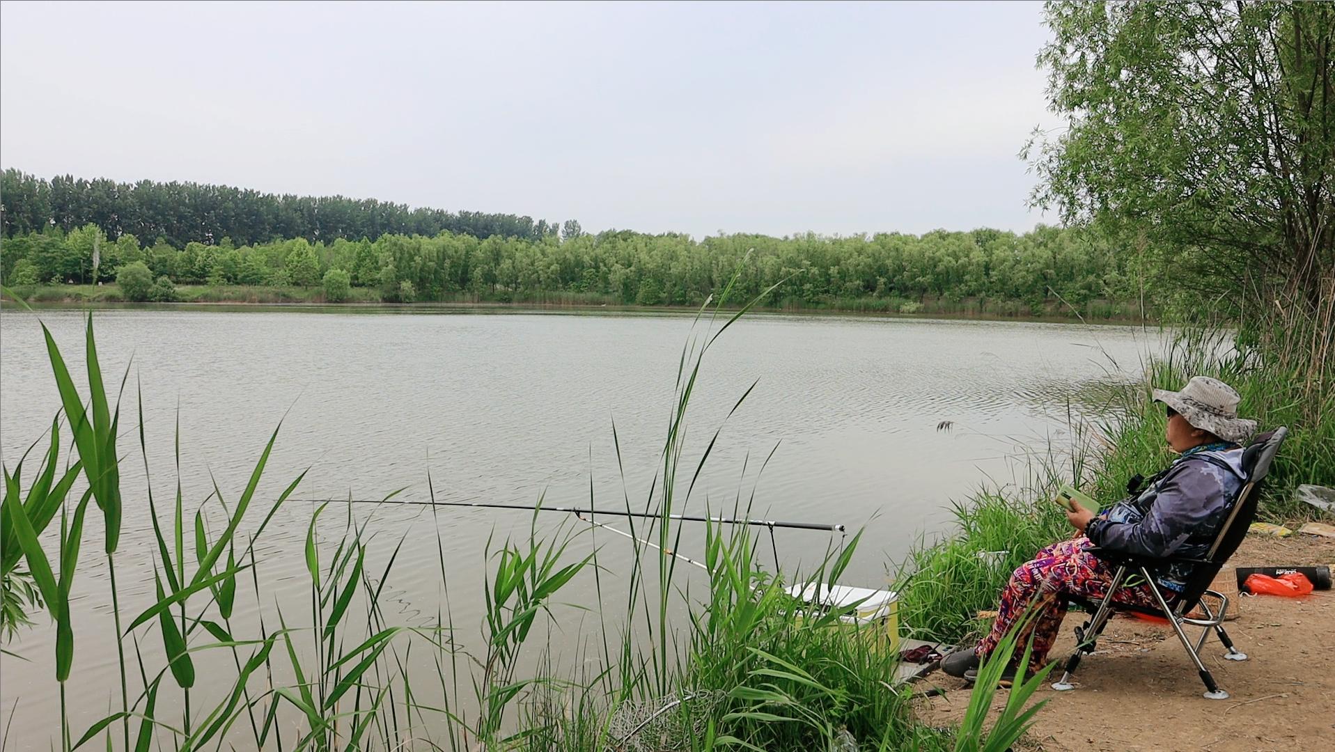野钓轻量大物竿有没有必要买,最值得钓友入手的大物竿