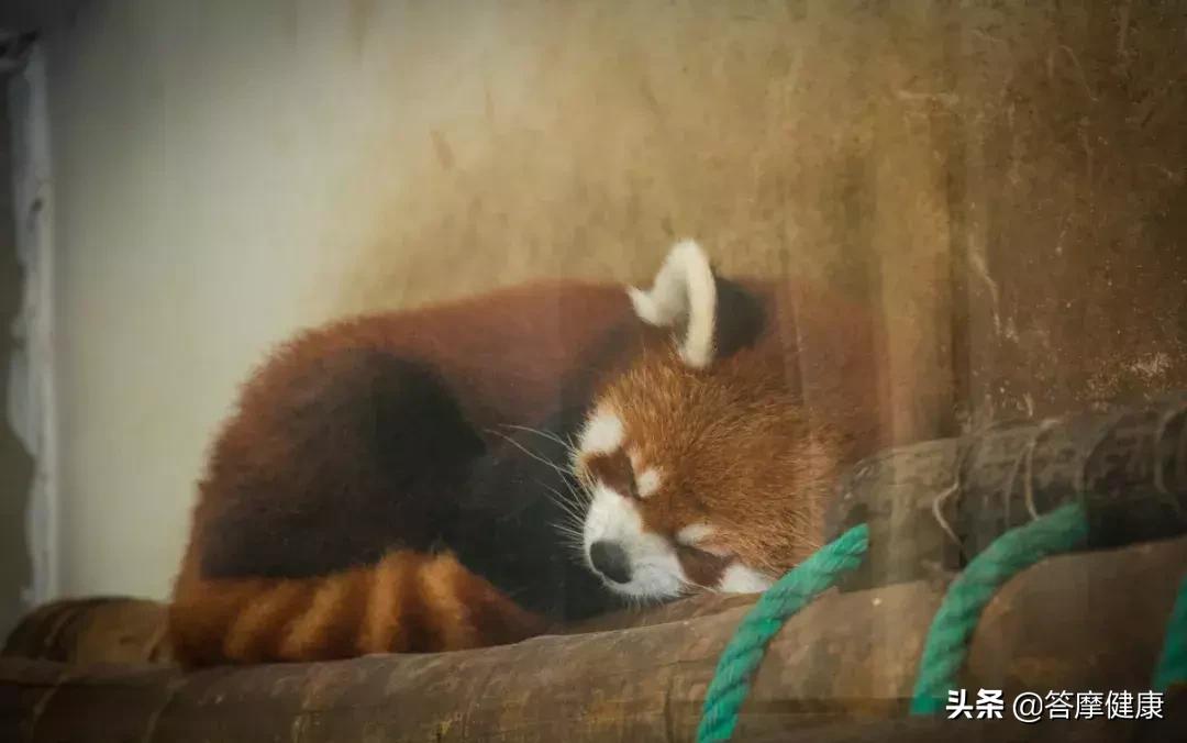 重度失眠请收藏5分钟入睡,收藏失眠