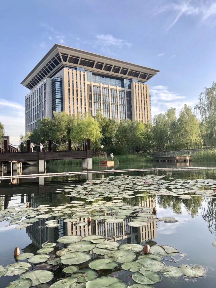 河南财经高校,河南财经政法大学11系