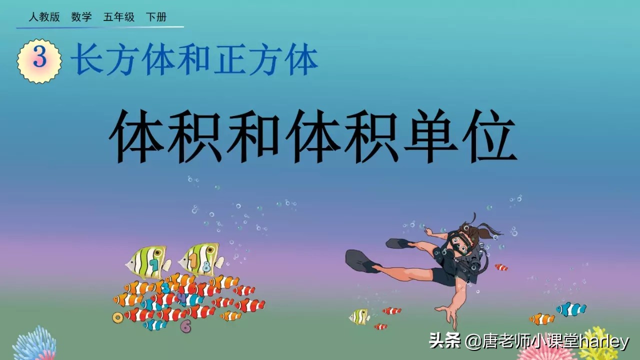 五年级下册数学长正方体体积公式,长方体和正方体的体积公式五年级