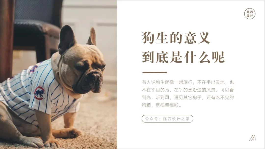 ppt技巧实用图片版,在ppt制作过程中图片使用原则