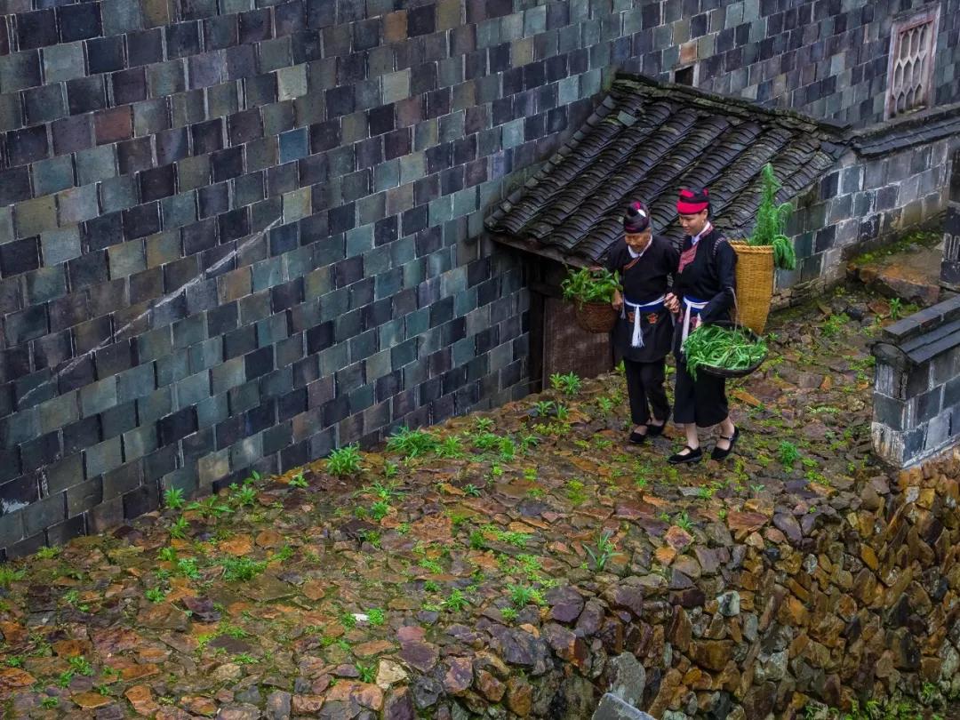 万亩草原航拍,万亩草原航拍视频